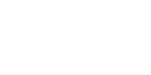 TEAM University